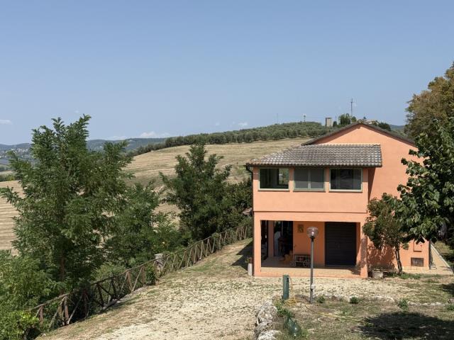 Image description